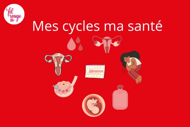 Lire la suite à propos de l’article Cycle menstruel « indicateur de l’état de santé »