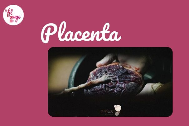 Lire la suite à propos de l’article Placenta